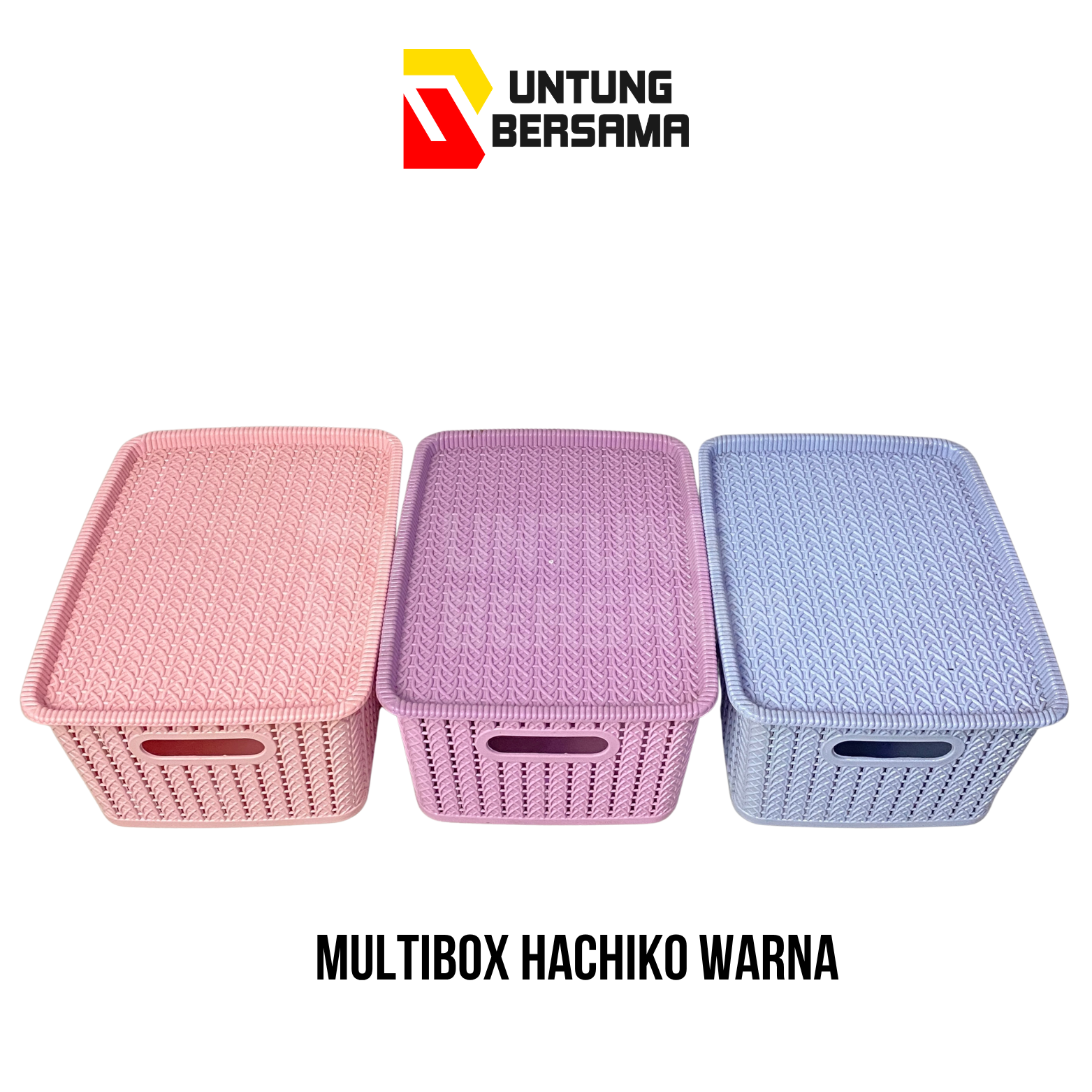 Multi Box Hachiko Wkny / Keranjang Serbaguna / Tempat Penyimpanan Multifungsi Tutup
