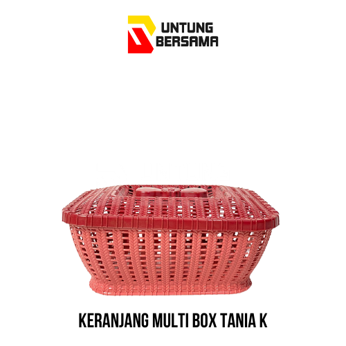 Keranjang Multibox/ Keranjang Serbaguna Tania K